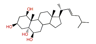 Muristeroid G